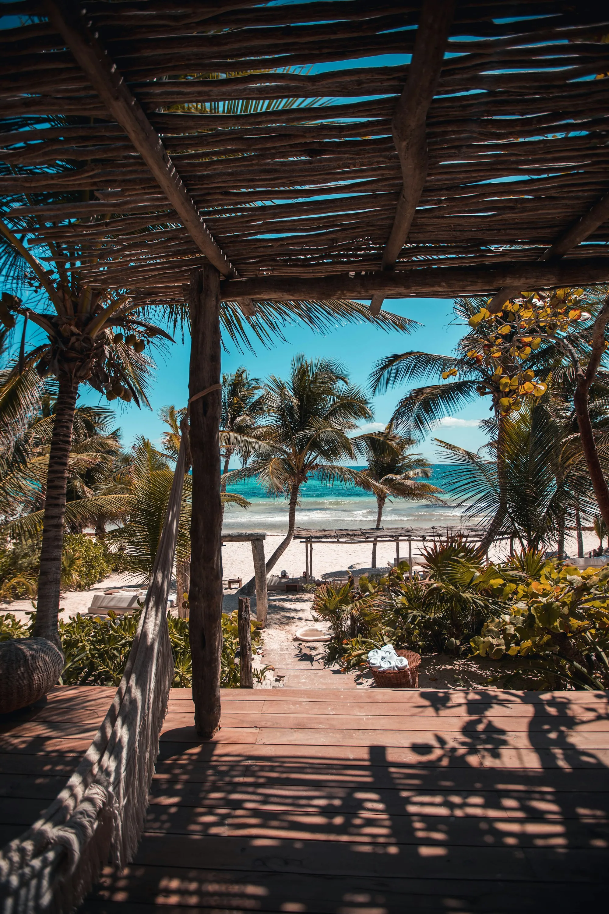 Plage bordée de cocotiers sous un ciel bleu
